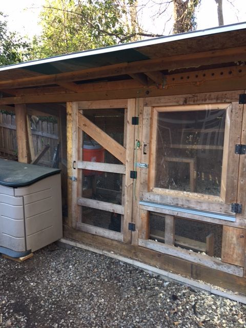 photos of the enclosed coop/run