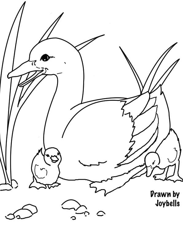 Picture for coloring book. Mama duck