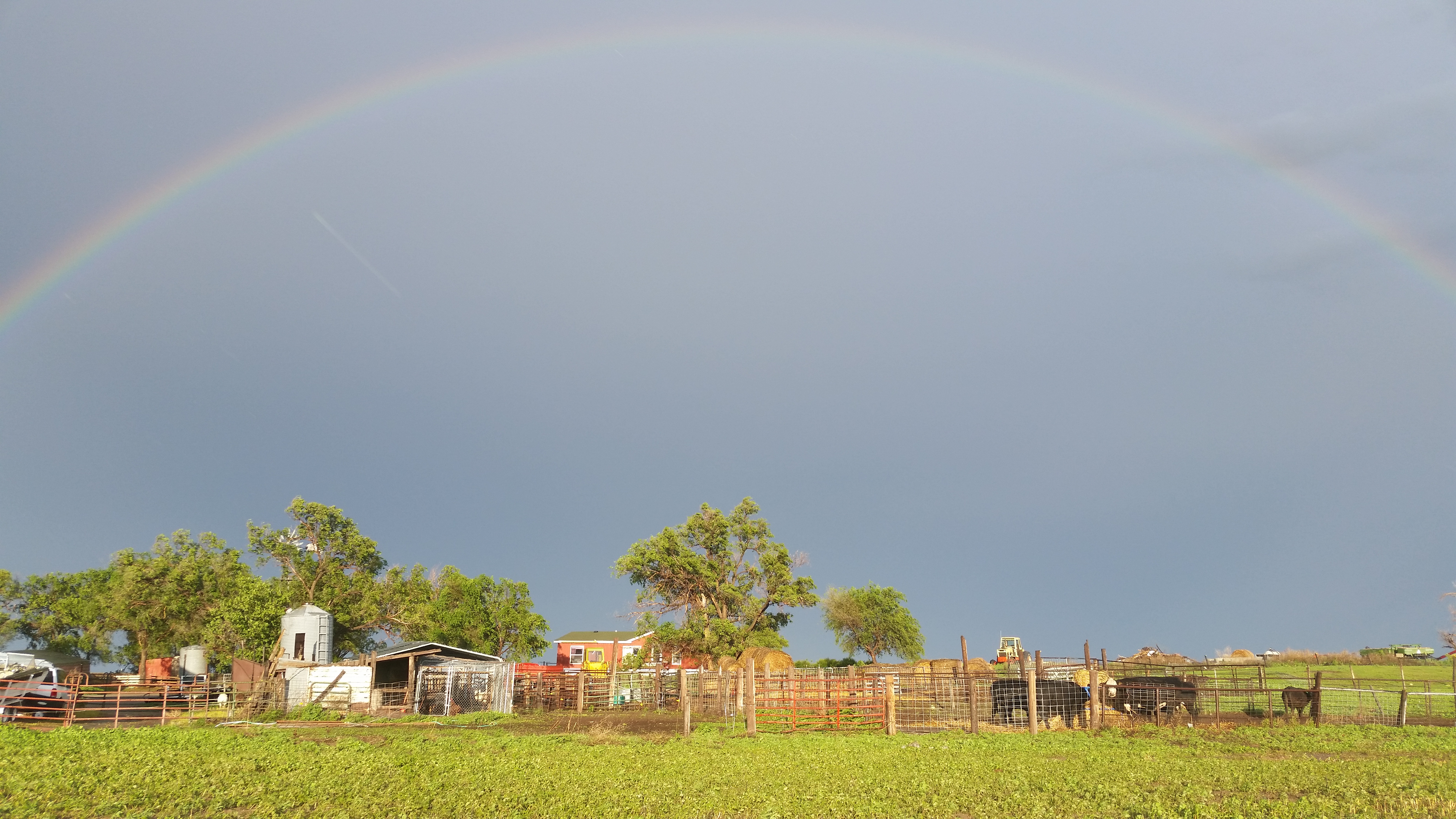 Picture of a rainbow over the farmstead after a late May storm.