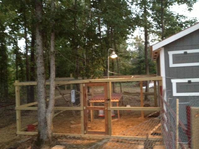Picture of my enclosed run that is attached to the back of my coop