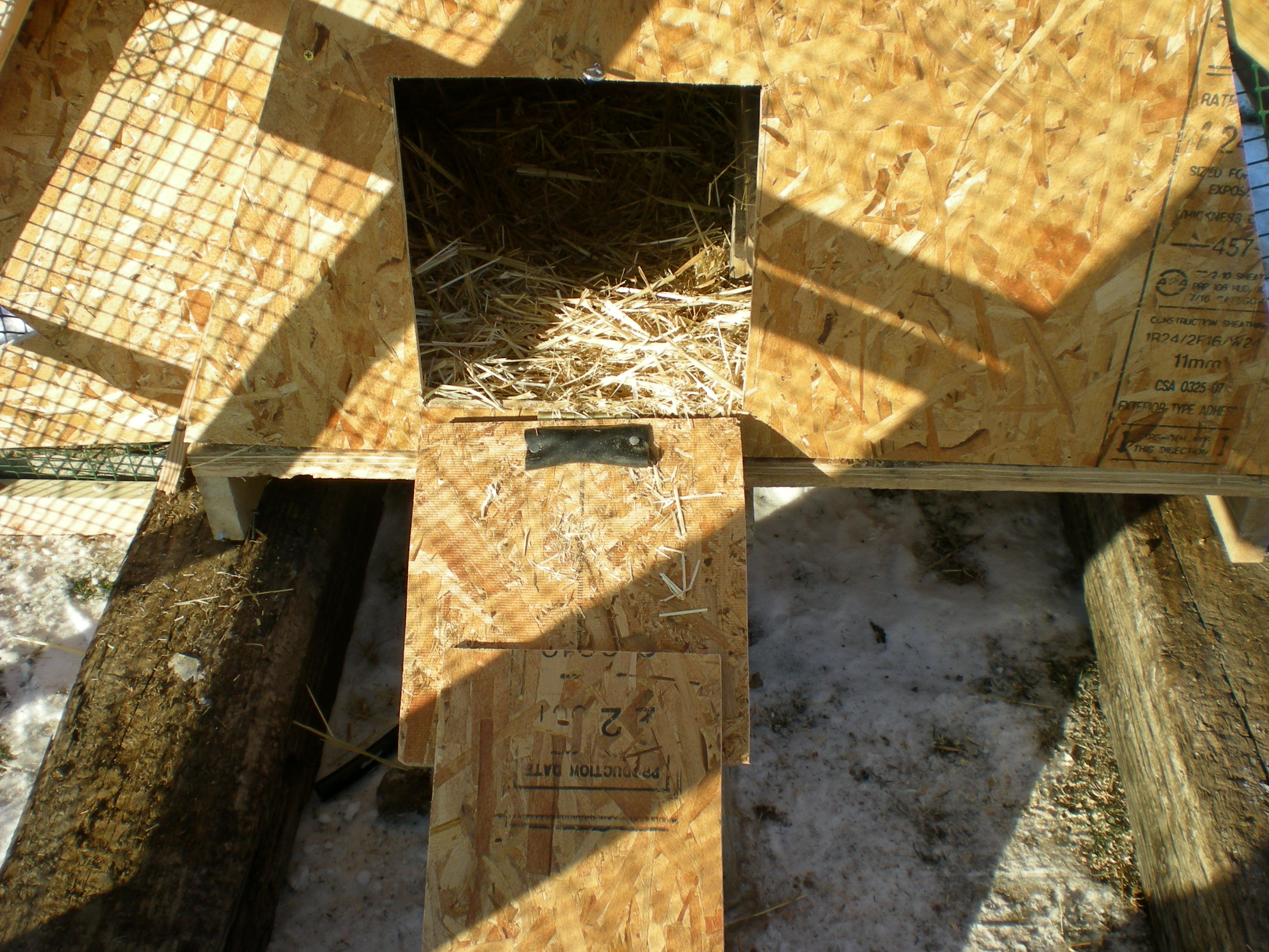 Picture of the door into the run.  My hubby will fix the ramp tomorrow, he had to build this out of pallets in a week so we still have some things to finish up but it is livable.