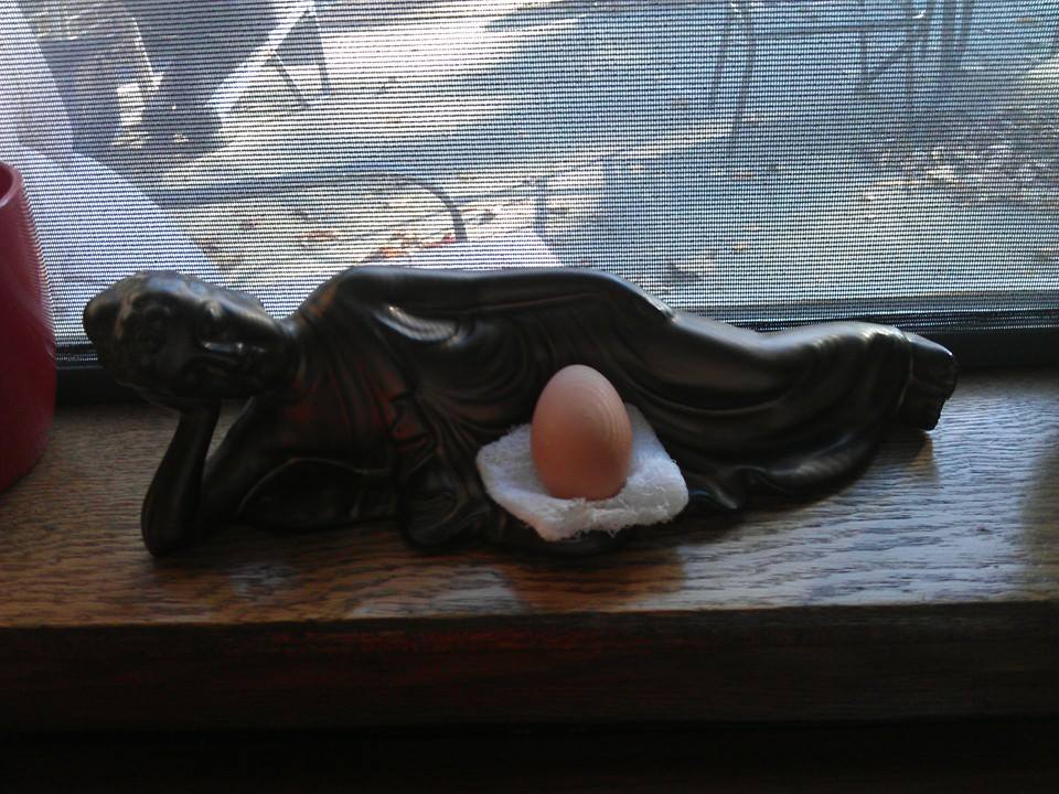 *
Picture of the first egg from my flock! Buddha watches safely over the egg lol