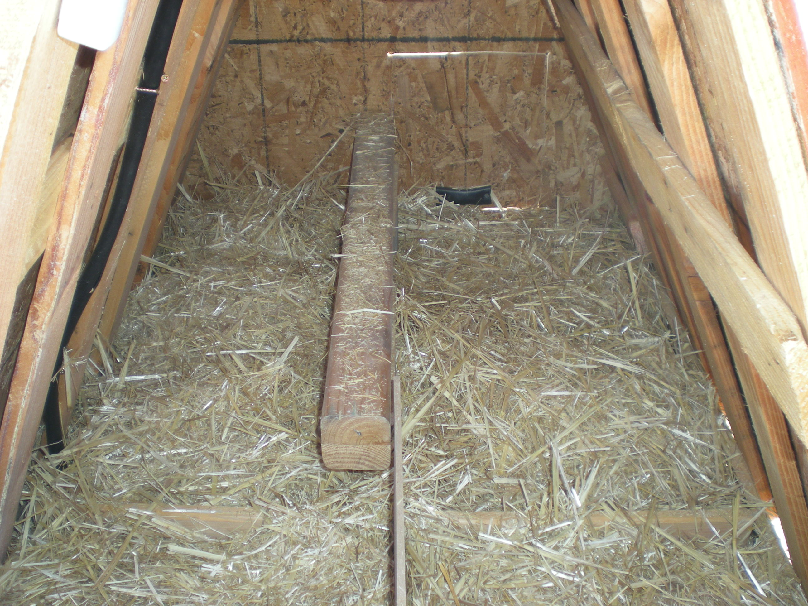 Picture of the inside of the coop from the door where the nesting boxes are.  You can see the door to access the run in the top right and the roosting bar.
