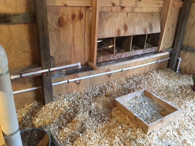 Picture showing nesting boxes, little sandbox to dust bath in. PVC water line with poultry nipples for inside of coop, another line that runs outside with more nipples to the future run area. Both lines can be turned off, drained through end caps.