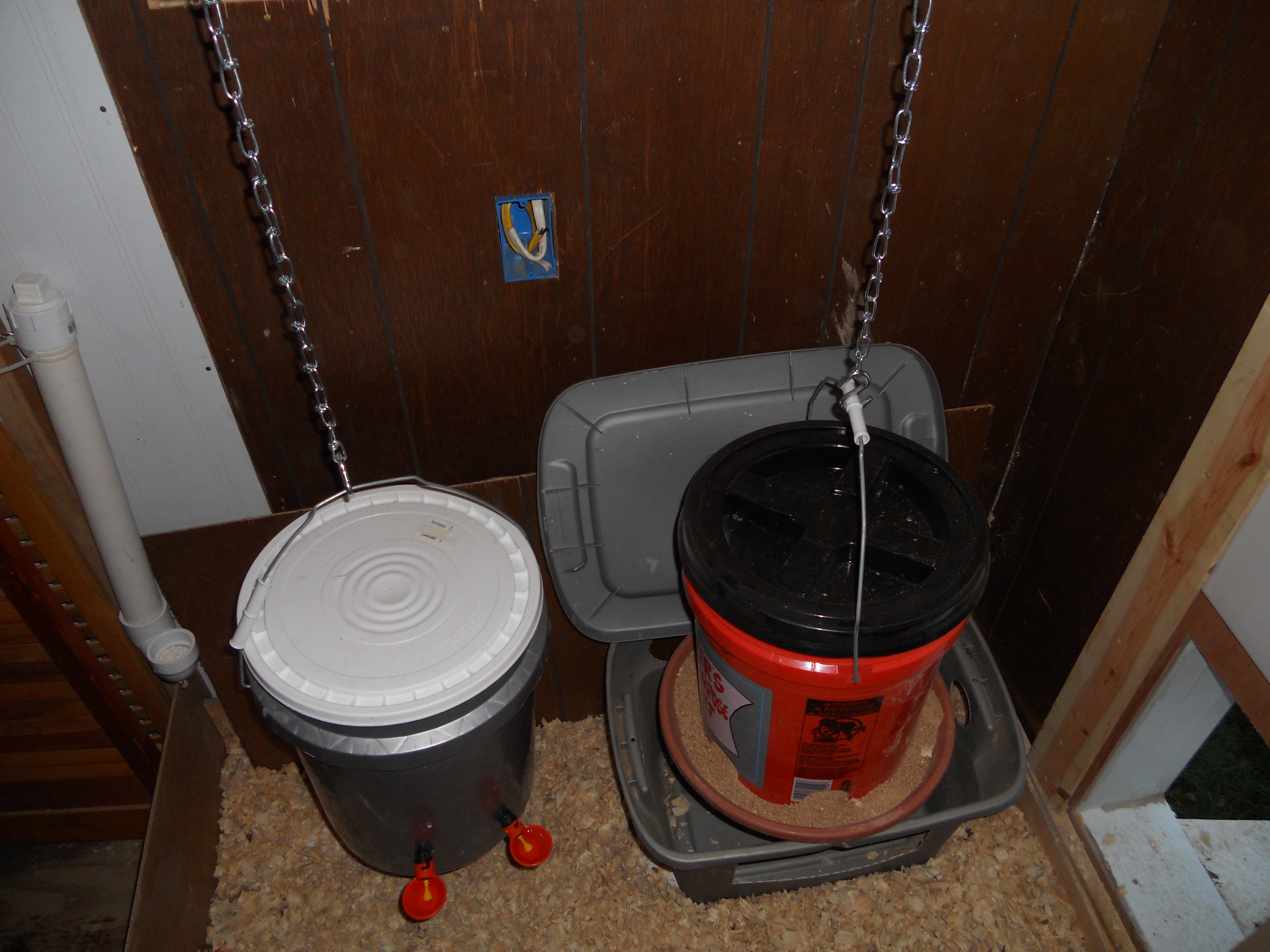 Pictures of the oyster shell in PVC pipe, the feeder and waterer made from 5 gallon buckets.