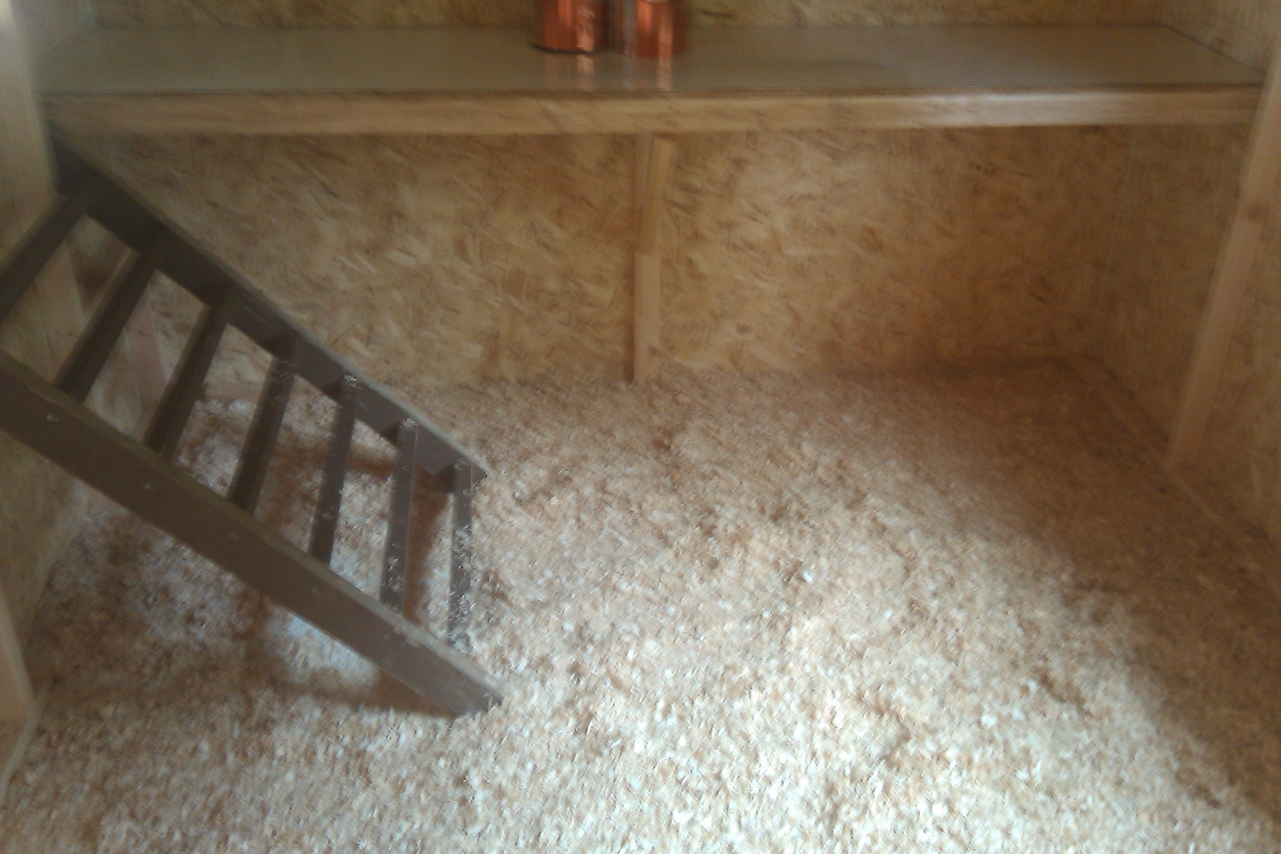 Pine shavings on the floor