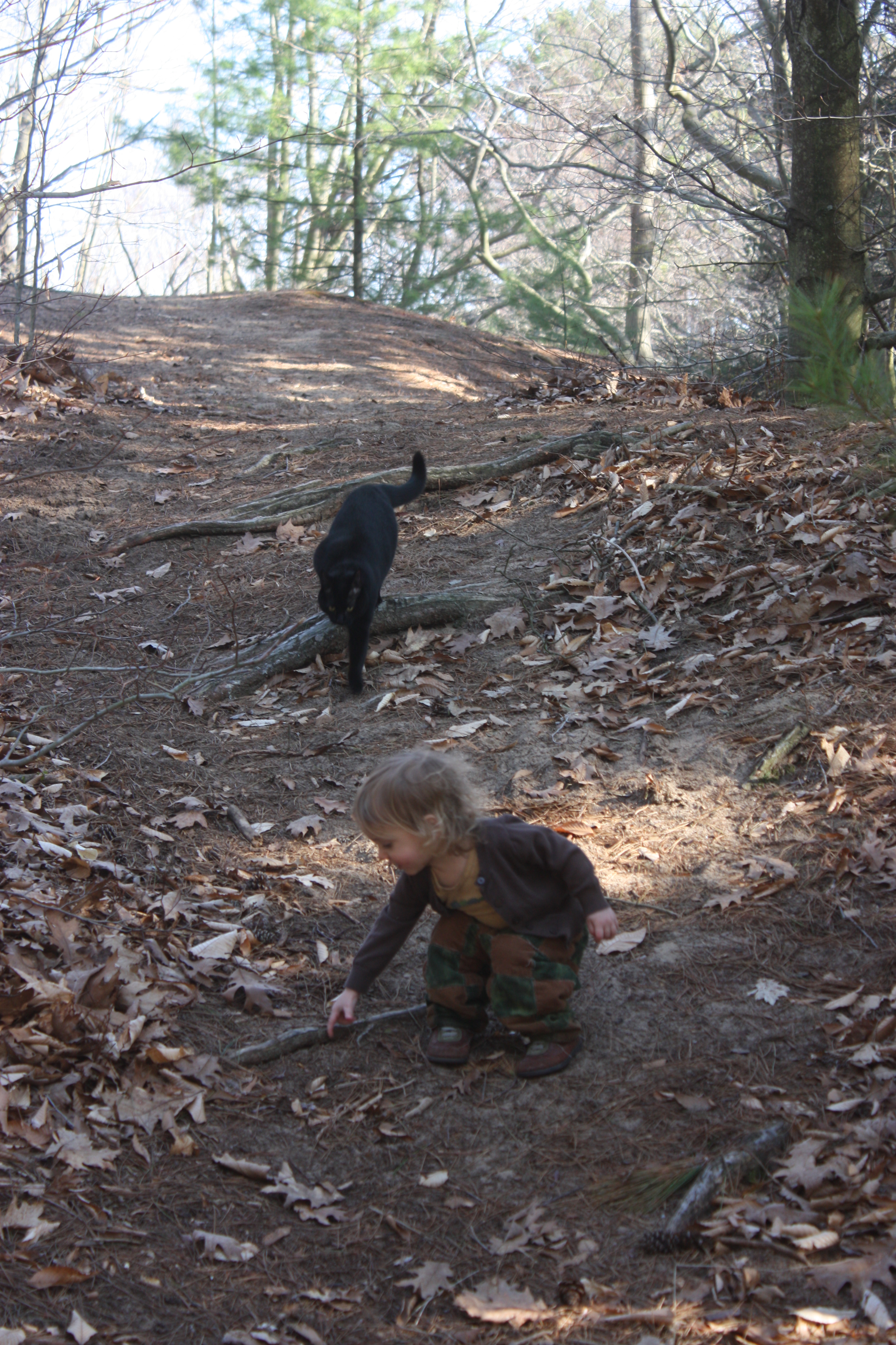 Pipkin 3