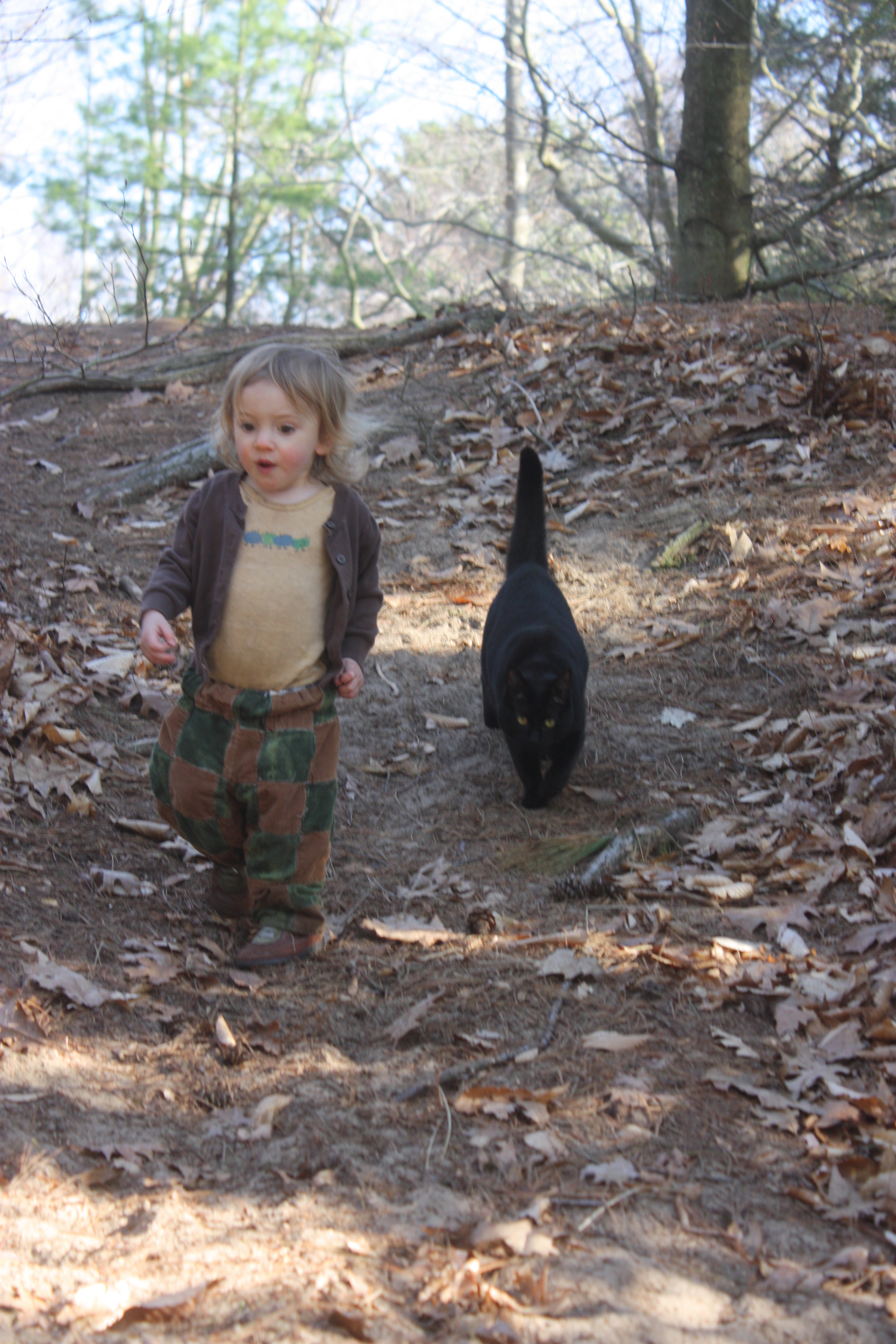 Pipkin 4
