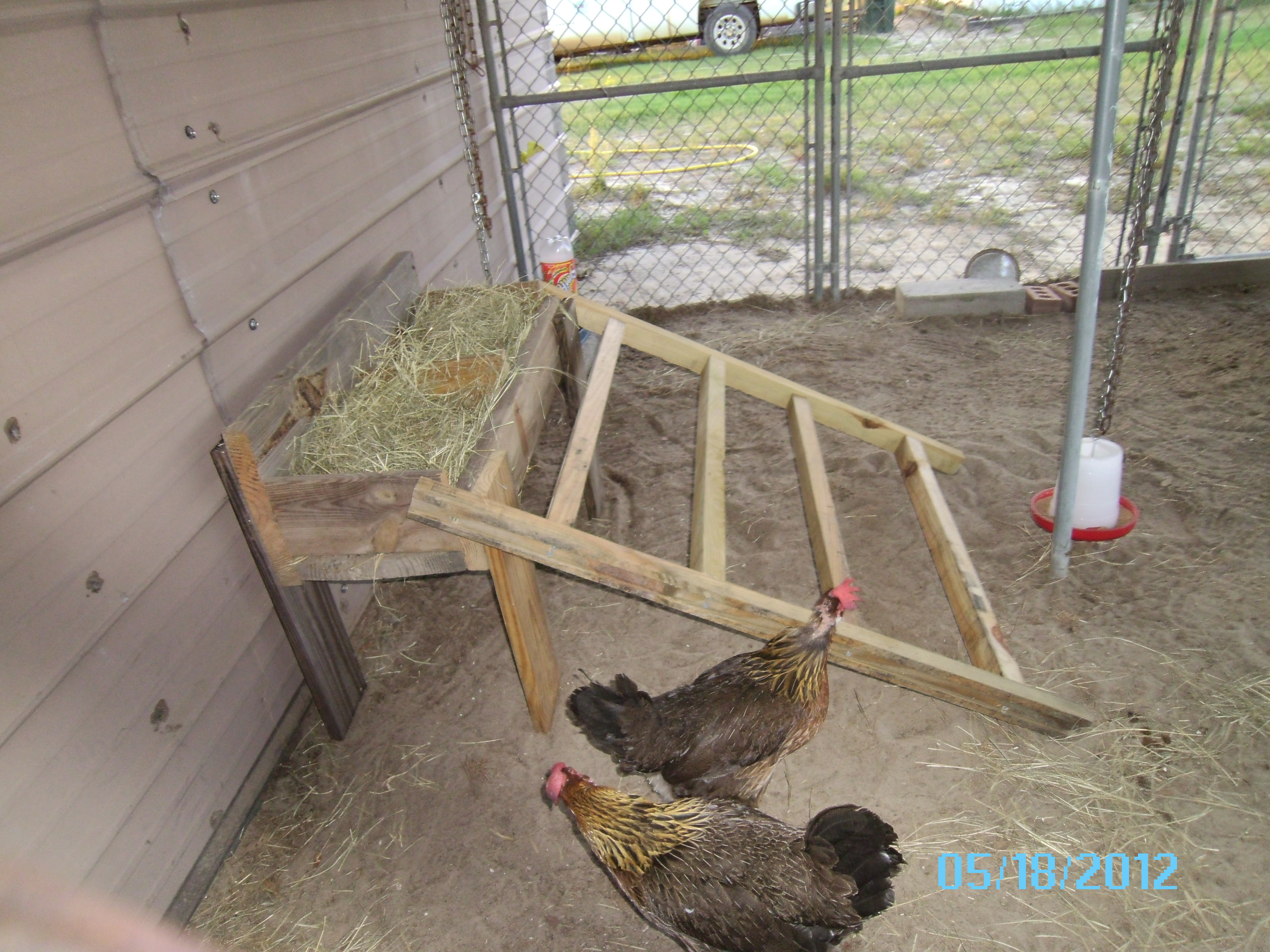 placing the raised nest off the floor