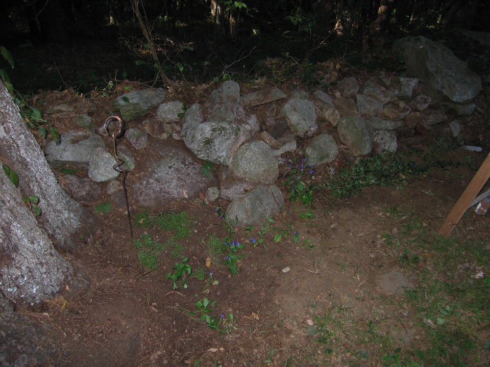 Planted some thyme, blue bells and periwinkle in the garden behind the run. The periwinkle will take over and keep the weeds from growing back, and produce beautiful purple flowers in the spring