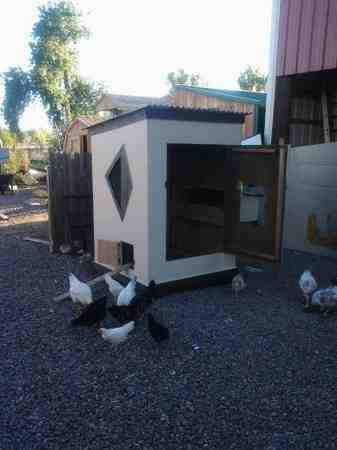 platte crossing farm chicken coop tower