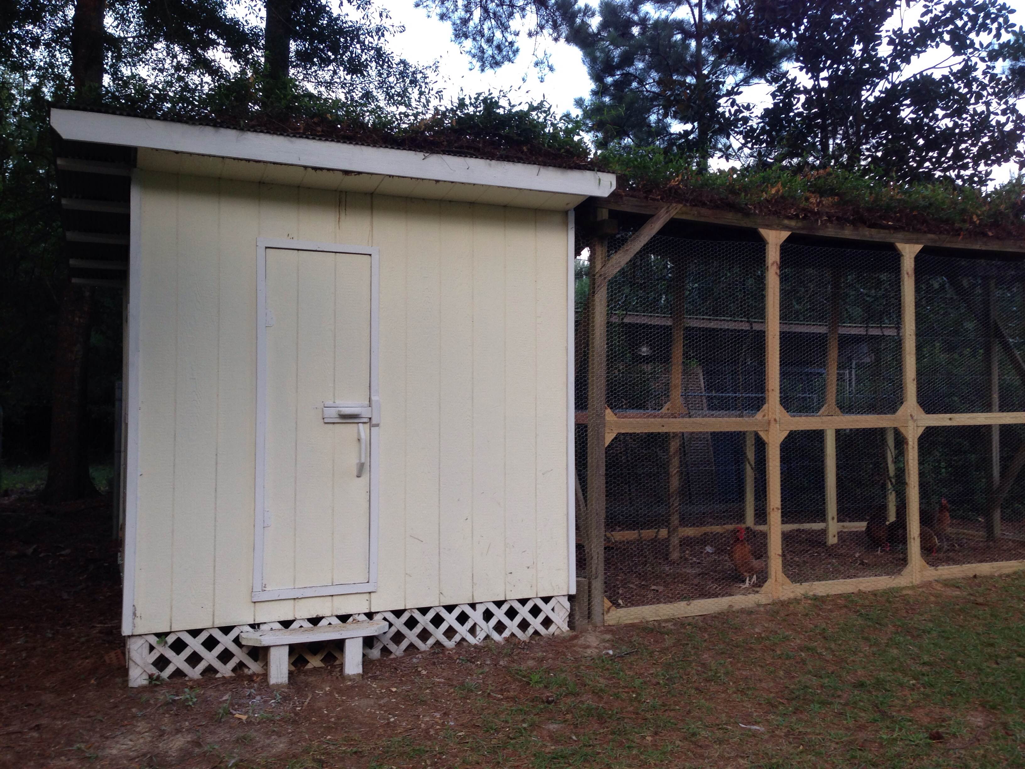 Playhouse turns to chicken coop!