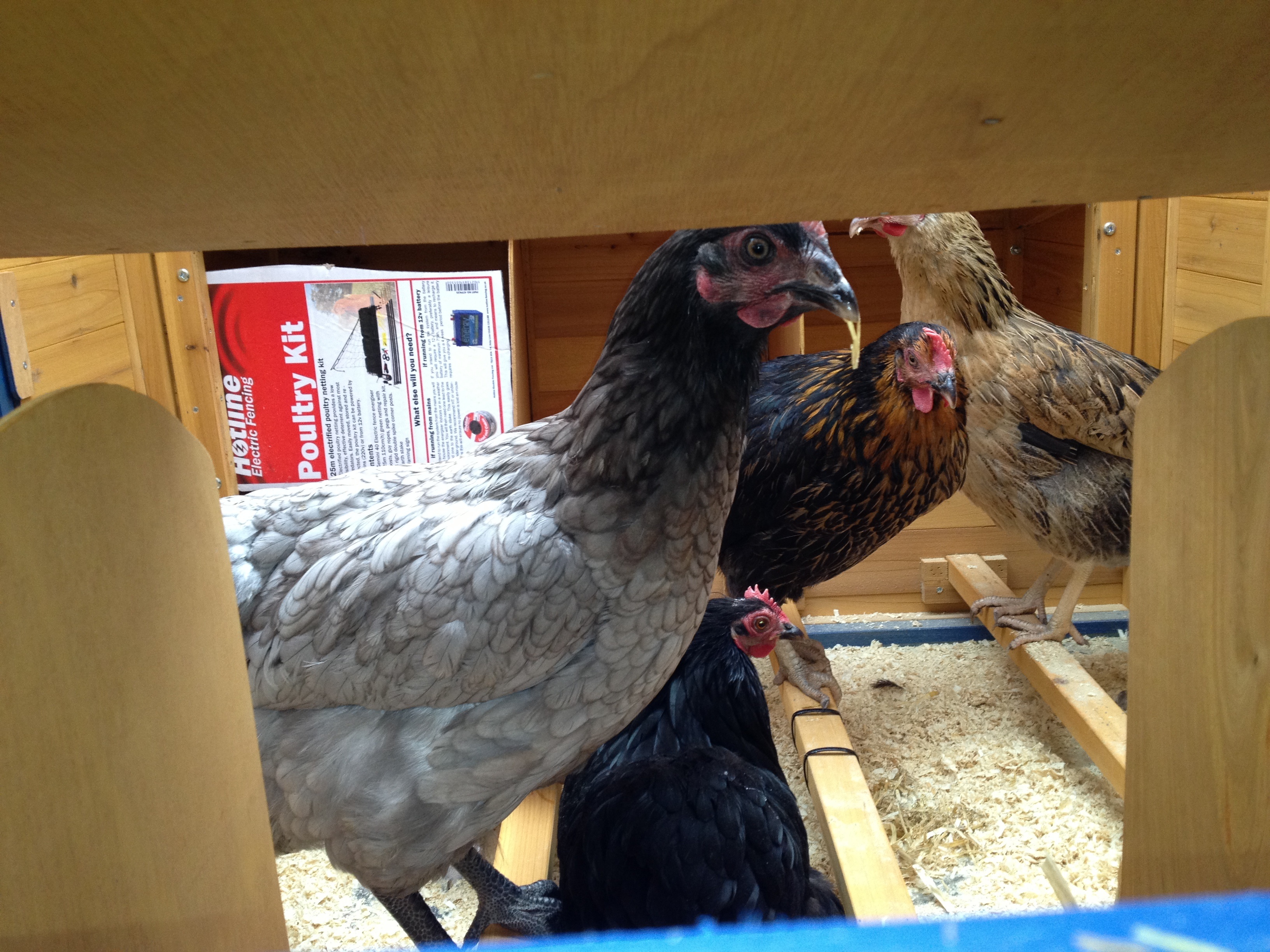 Playing hide and seek