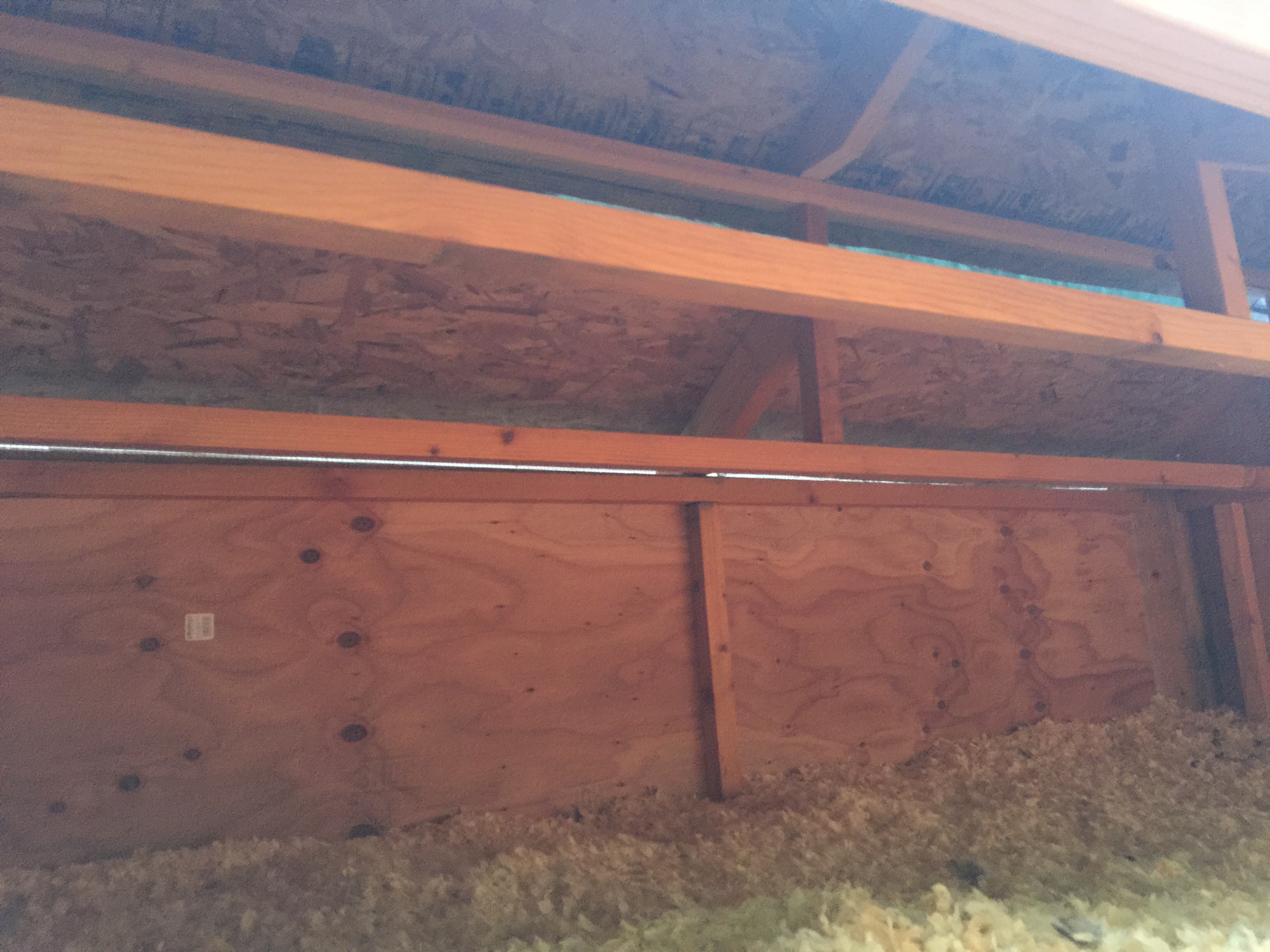 Plenty of roosting space.