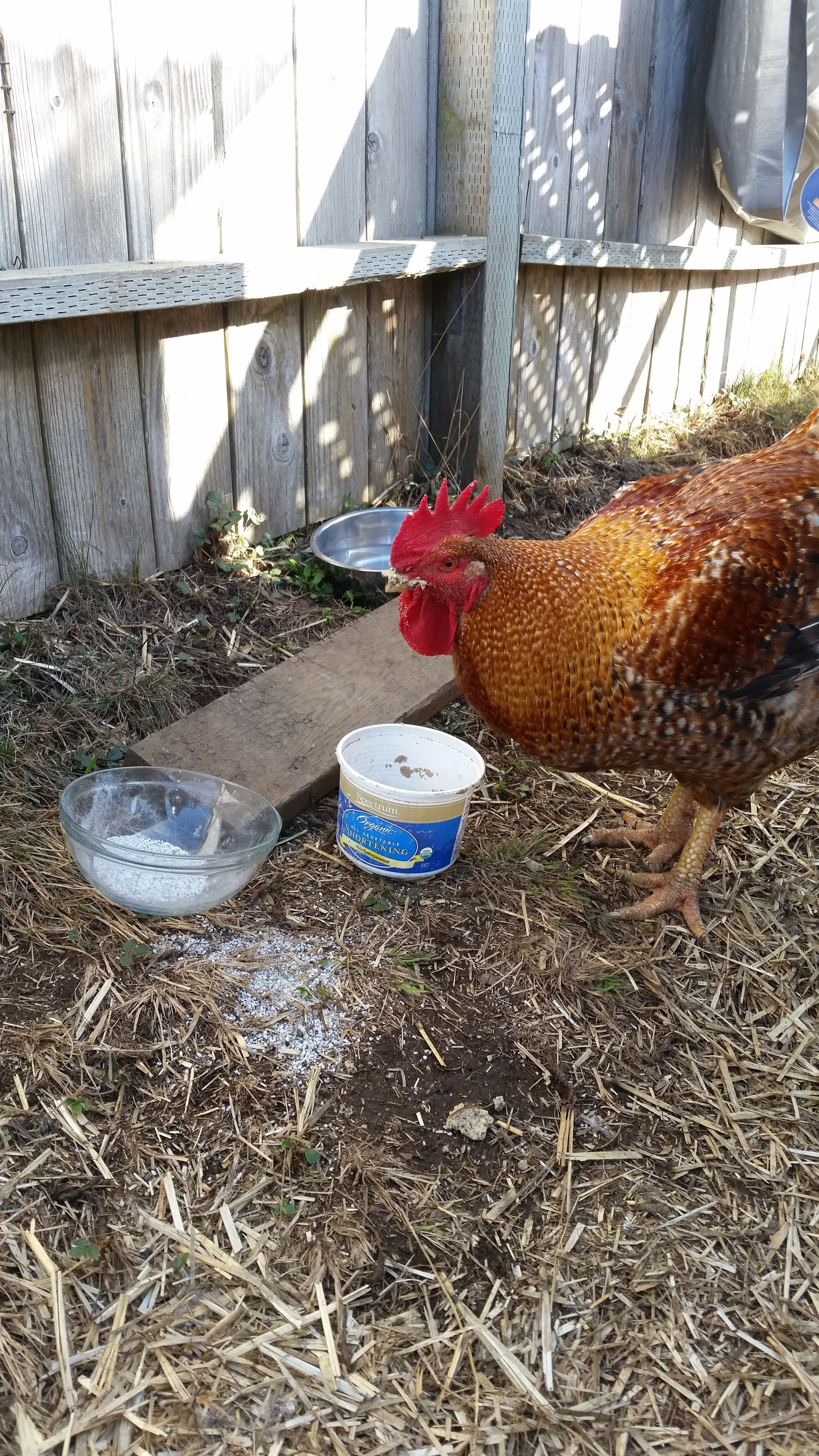 Plop is a messy eater. He has to wipe his beak on a board to get clean!