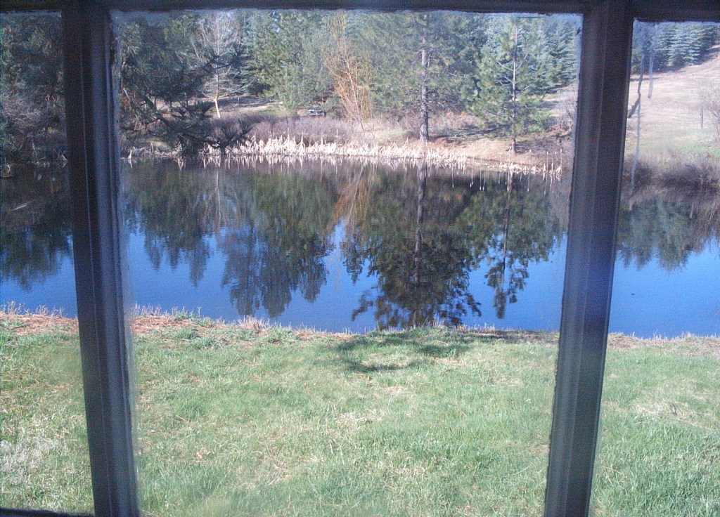 Pond