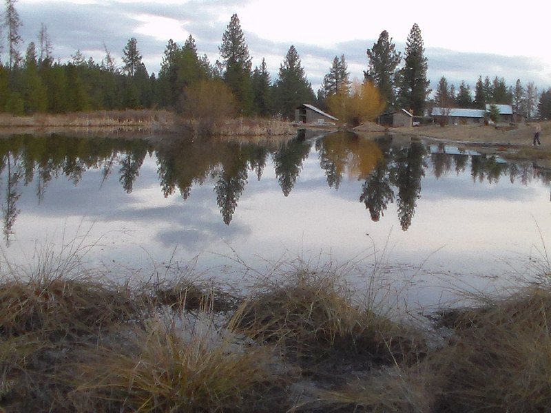 Pond