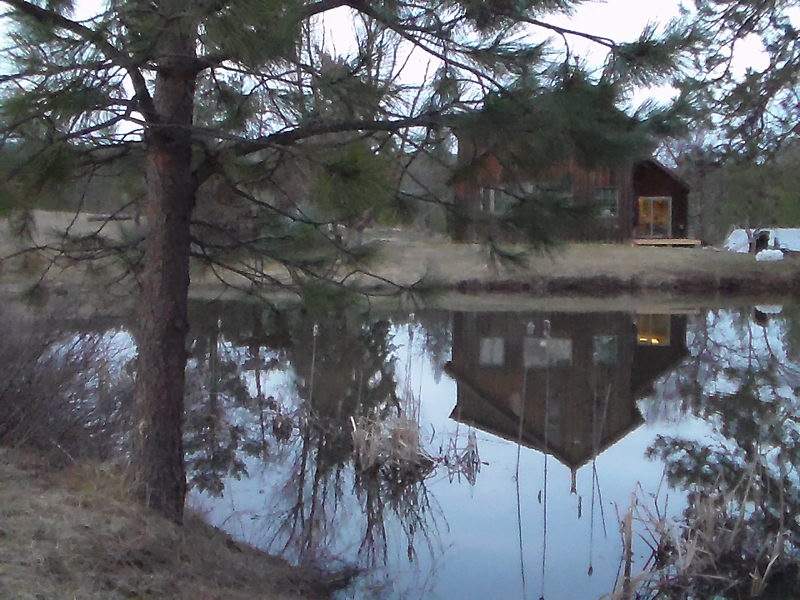 Pond