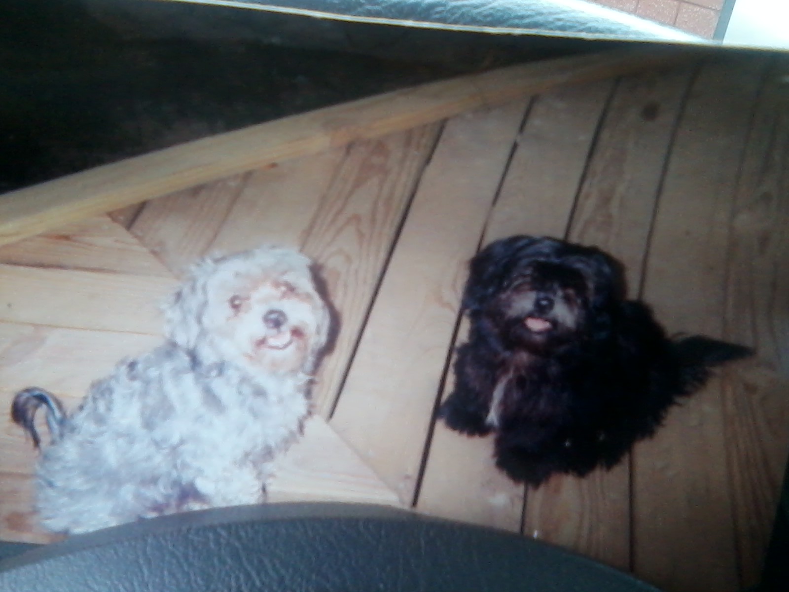 Pookie and Sissy