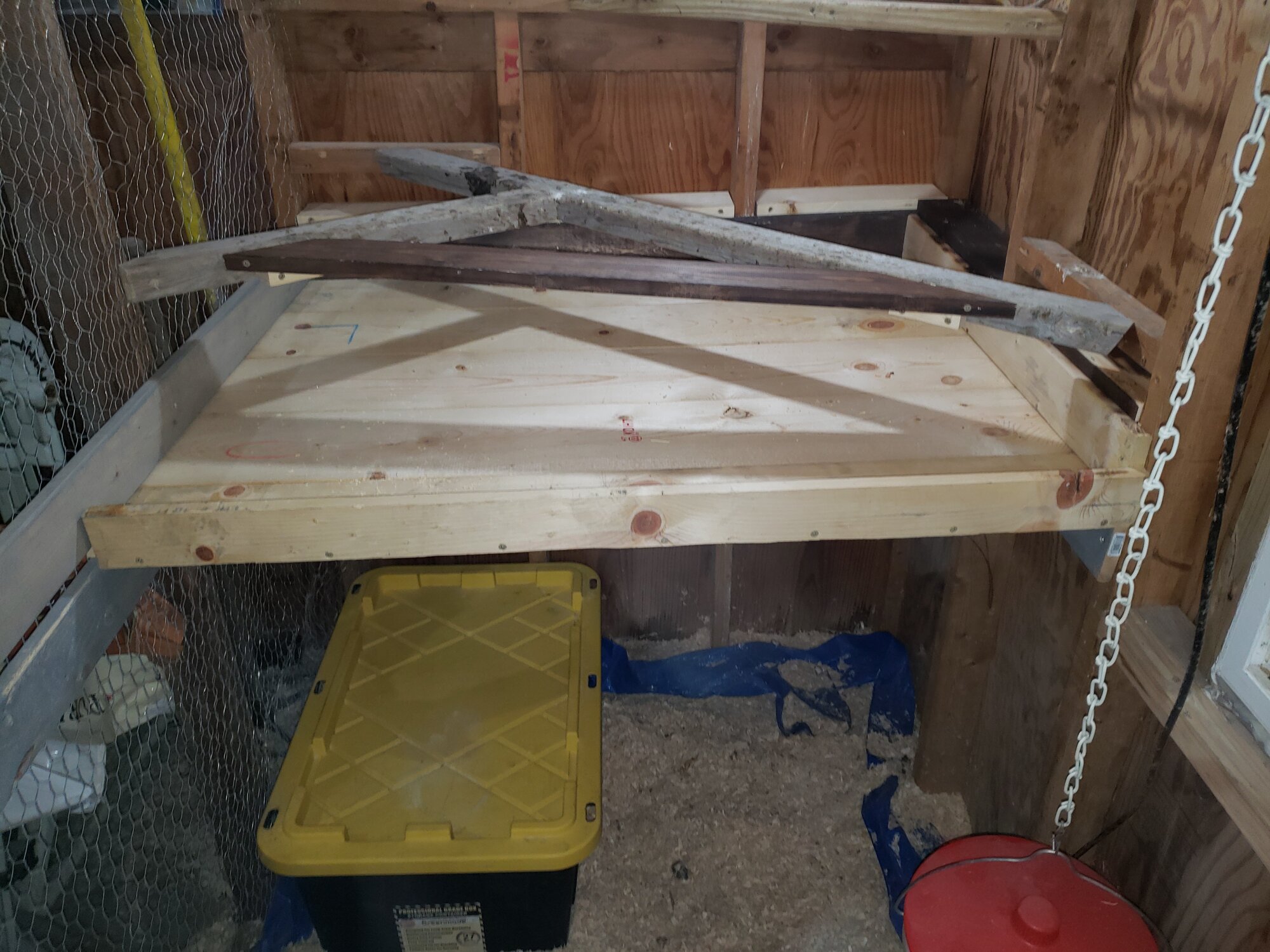 poop boards installed - shed coop build