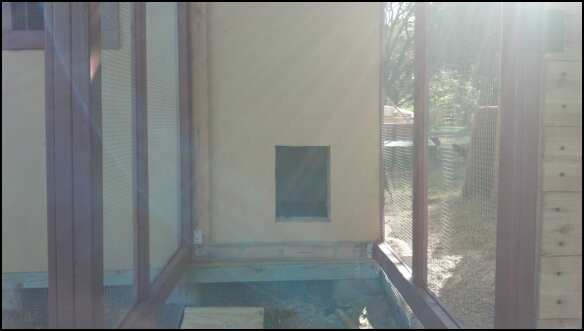 Pop door cut out for breeder pen.