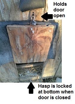 Pop Door Open