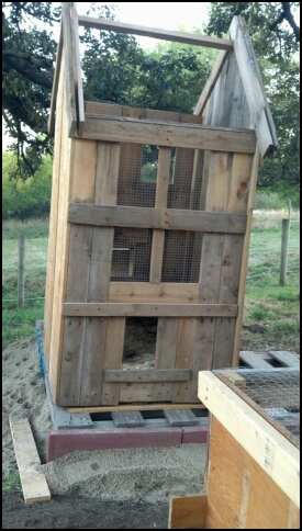 Pop door opening and windows. I have an old storm window to put on the inside for a wind break over the winter. I will most likely heat this coop to keep it above freezing for the bantams. Once the turkeys have outgrown the pen you see in the foreground I'll move it and build a large fully enclosed run for them there. It looks like it is leaning but it was just the angle of the photo.