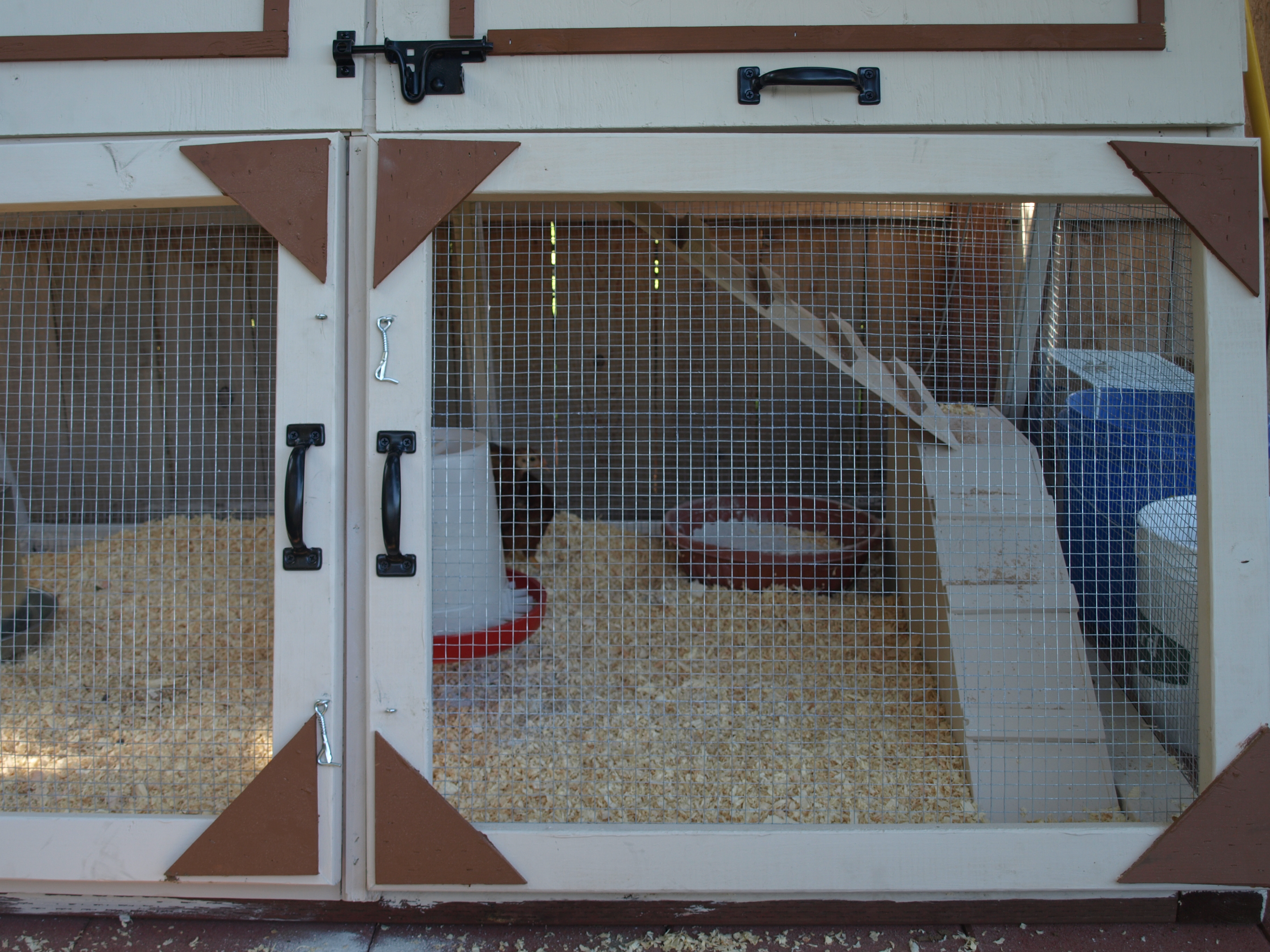Pop door, ramp and dust bath bowel.  They get in the dust bowl together and come out looking like ghost puffs, then they shimmy, shake and flap sent up a dust cloud and Voila! there's my girls.