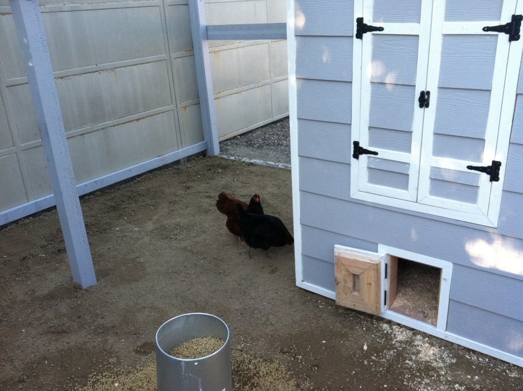 Pop door