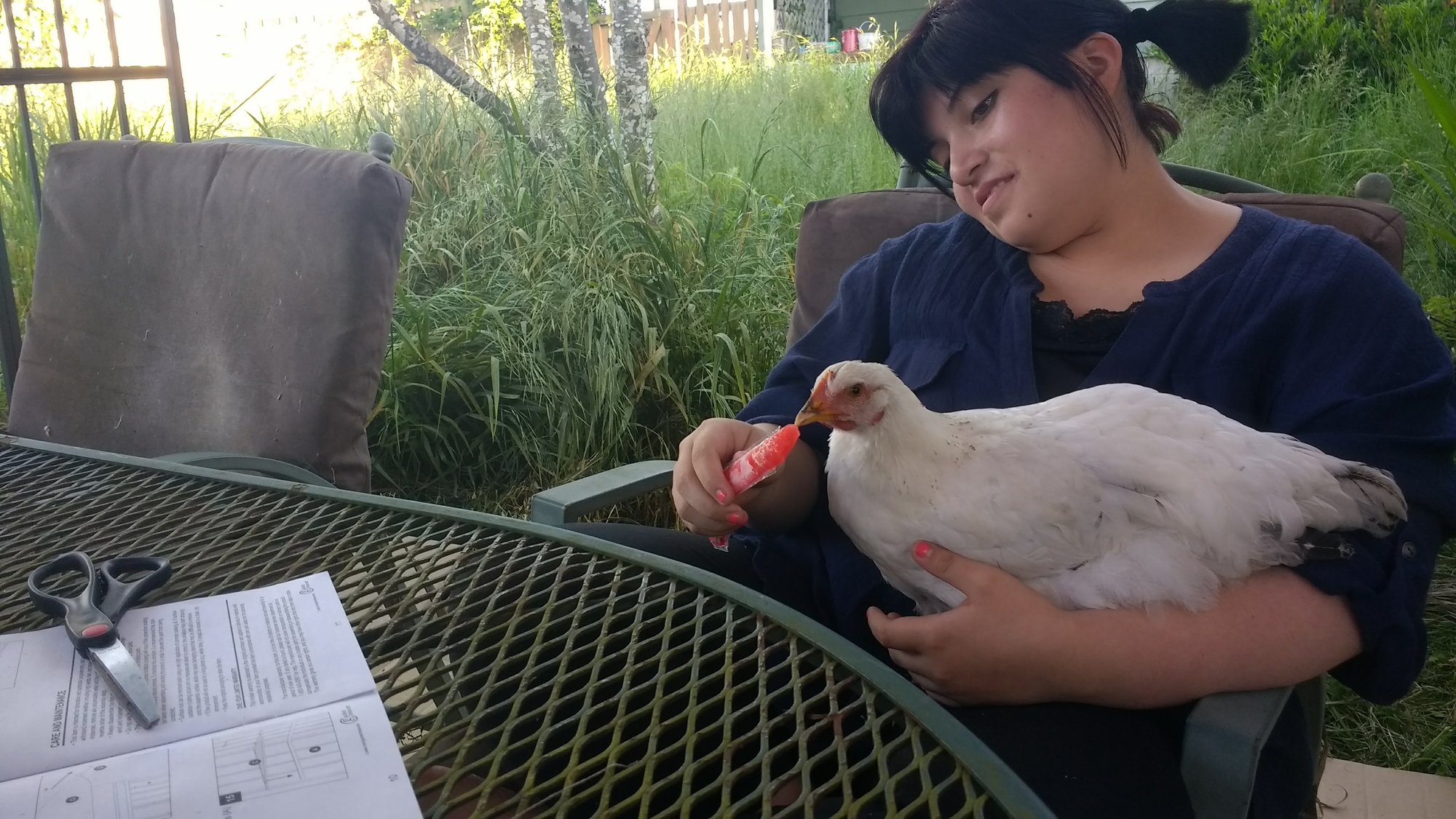 Popsicle & Pam the Wonder Chicken