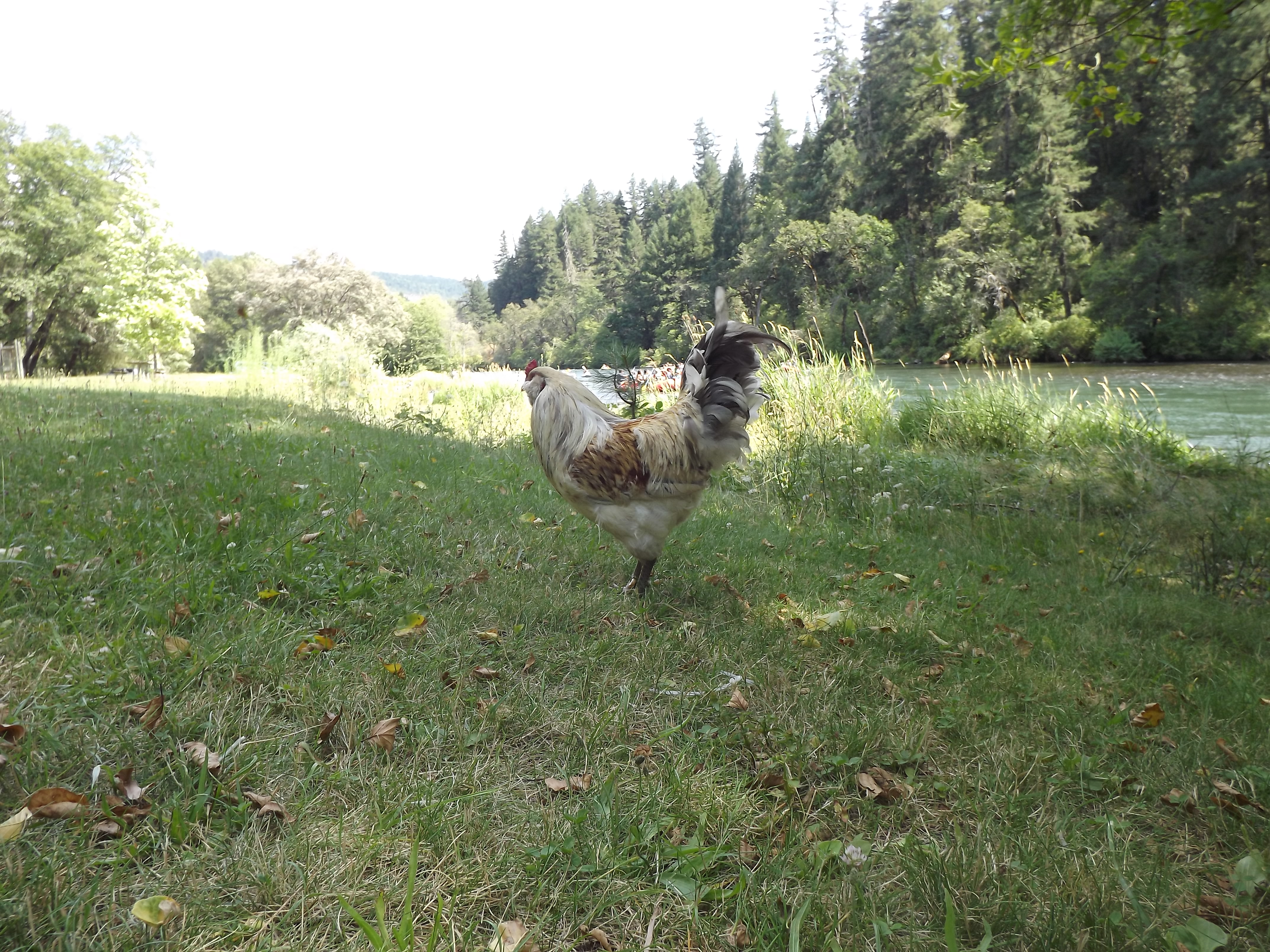 Posing by the Rogue River