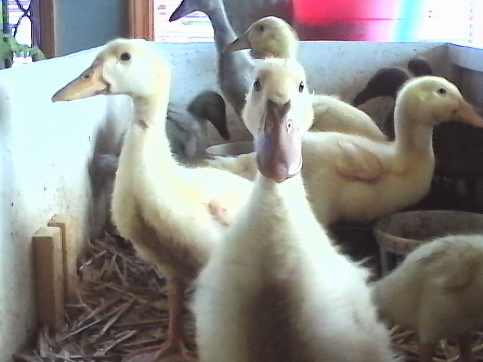 Posing for the camera