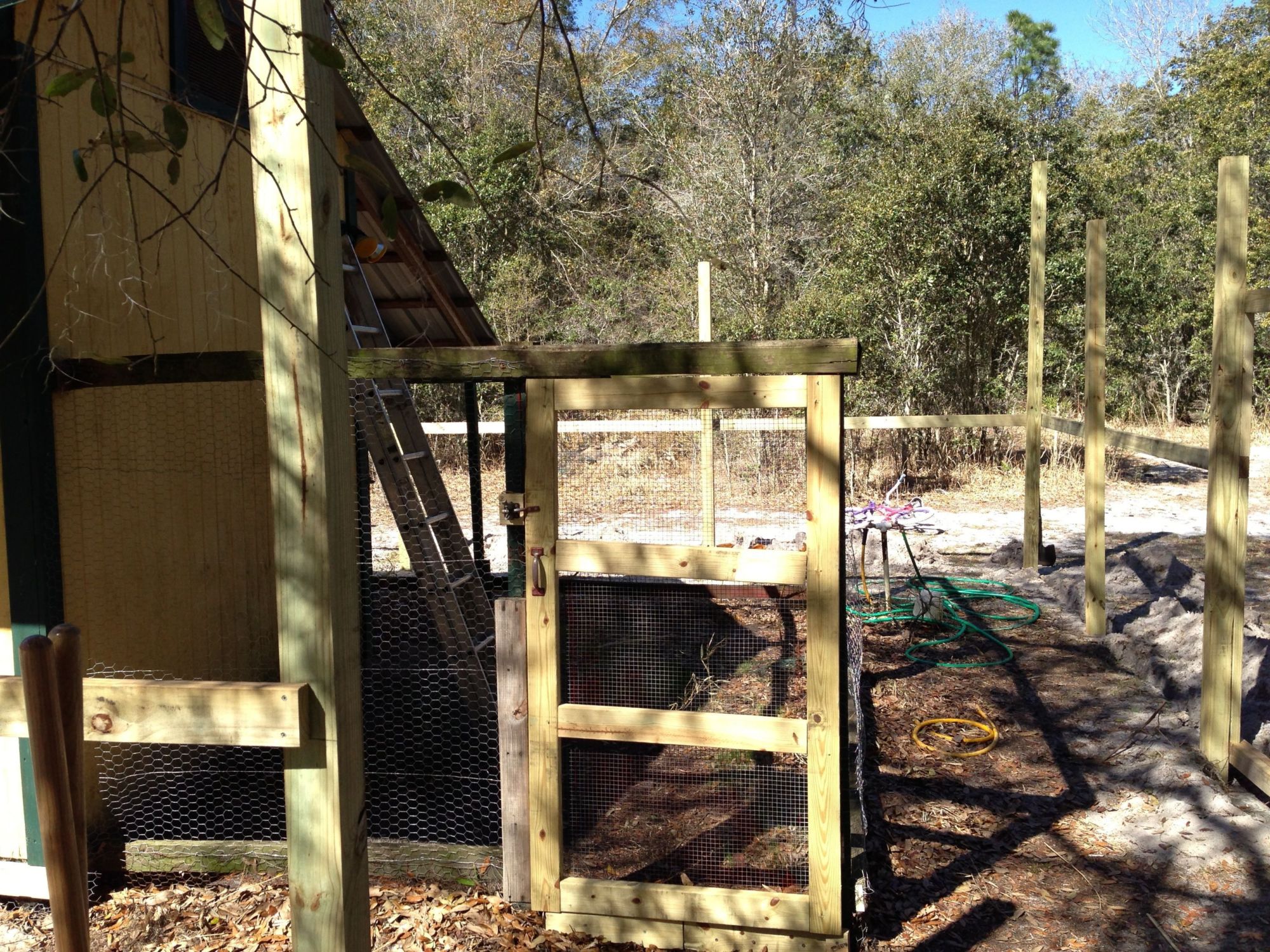 Posts for the "what a great idea this is going to be" aviary.