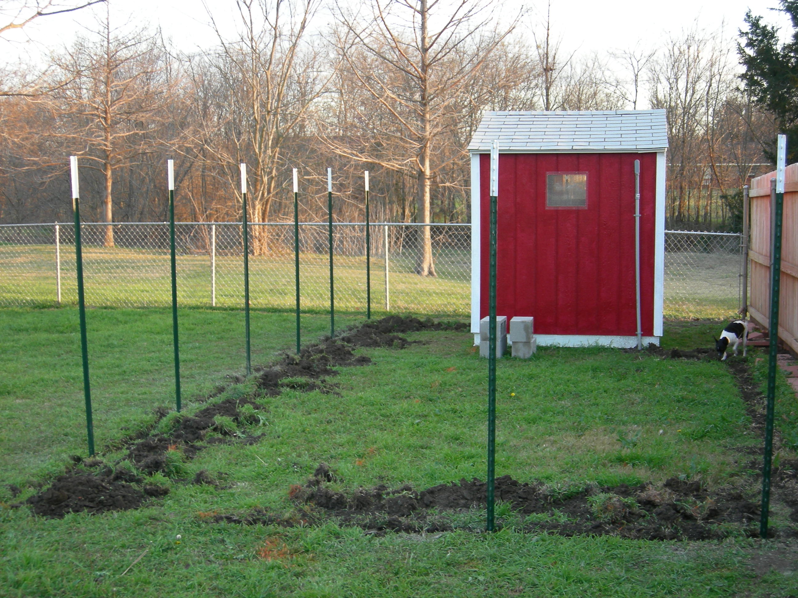 Posts ready to hang wire