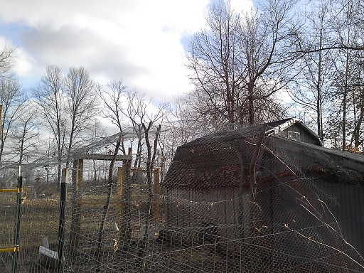 Poultry mesh roof Right Run