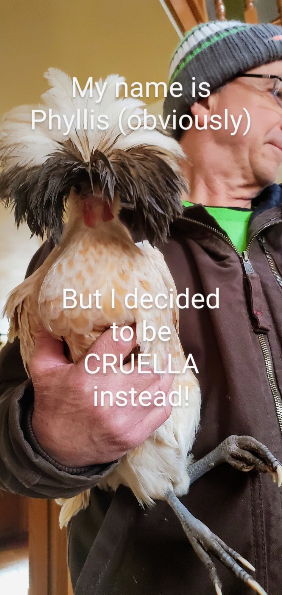 Poultry Shaming 253.jpg