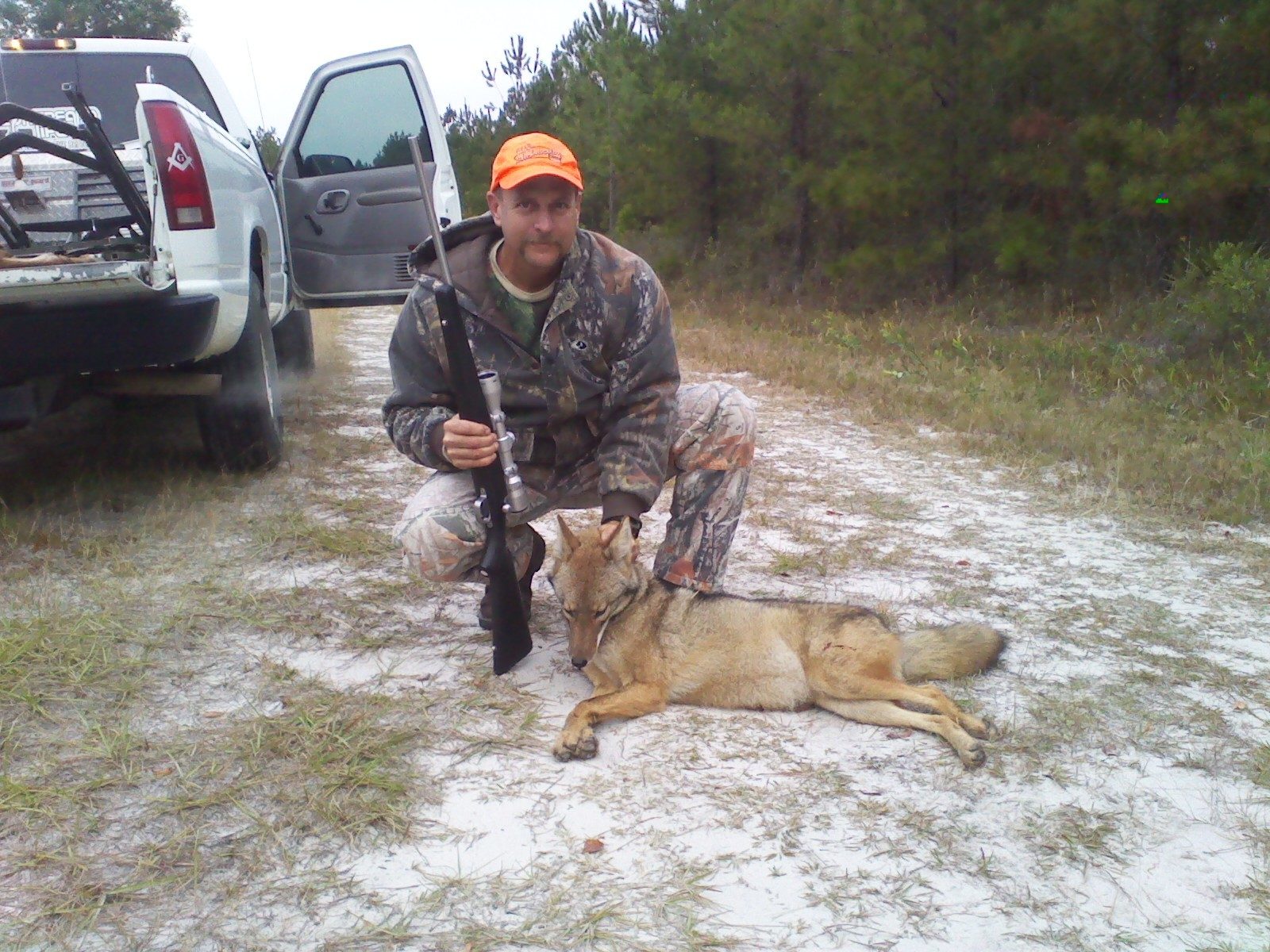 predators dont last long round here.