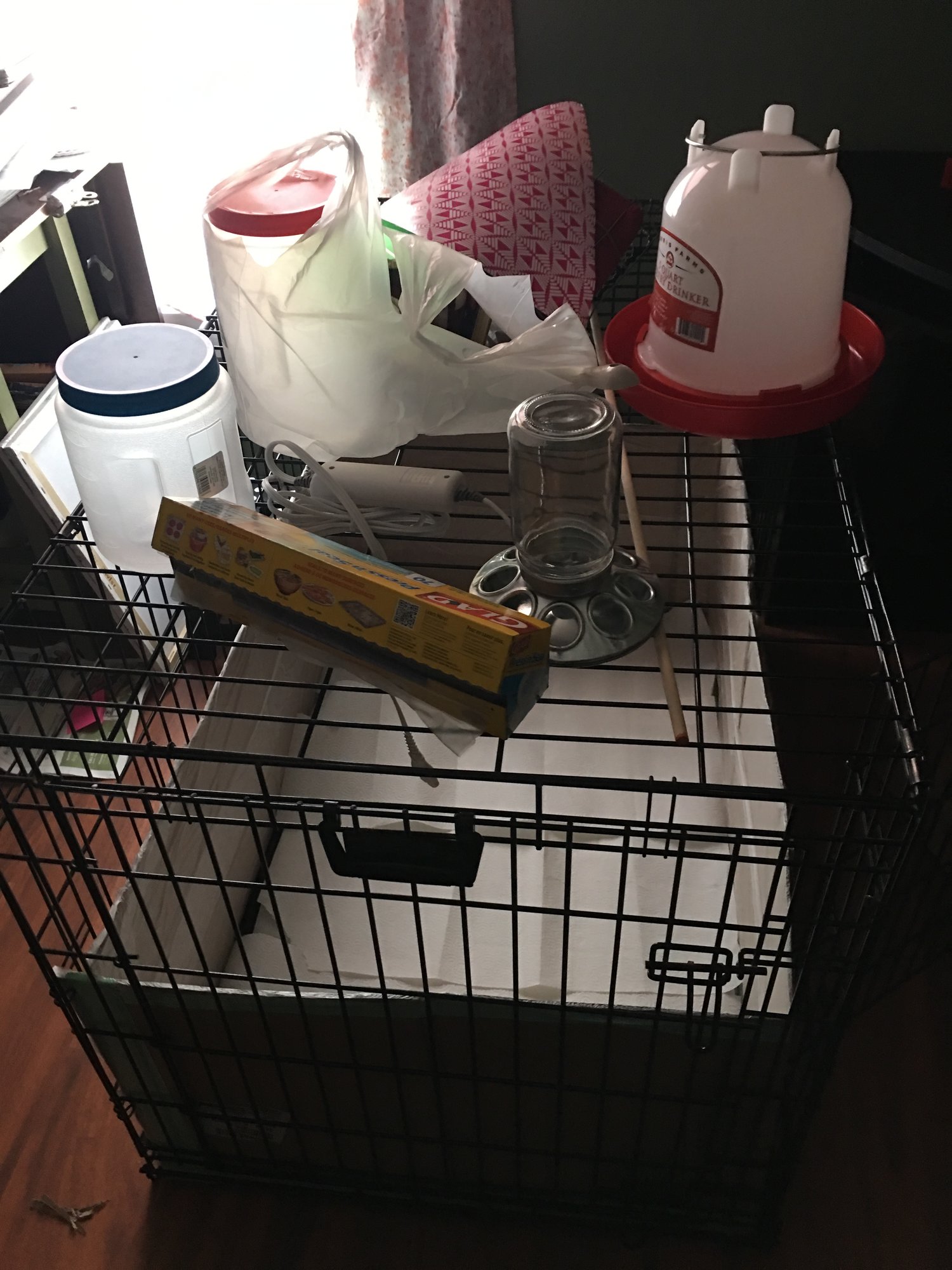 Prepping the Brooder