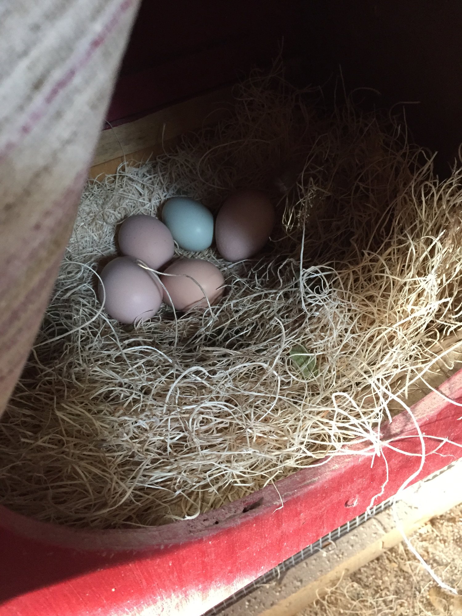 Prettiest Sight Ever