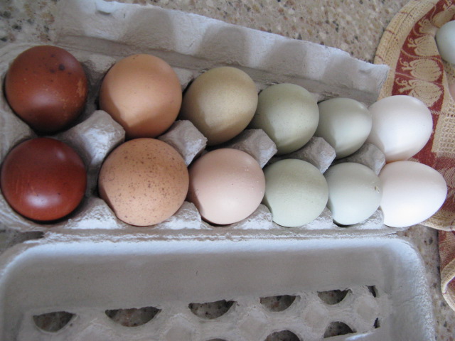 pretty dozen
