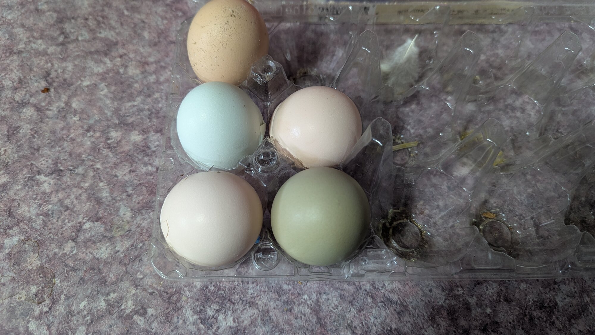 Pretty eggs!