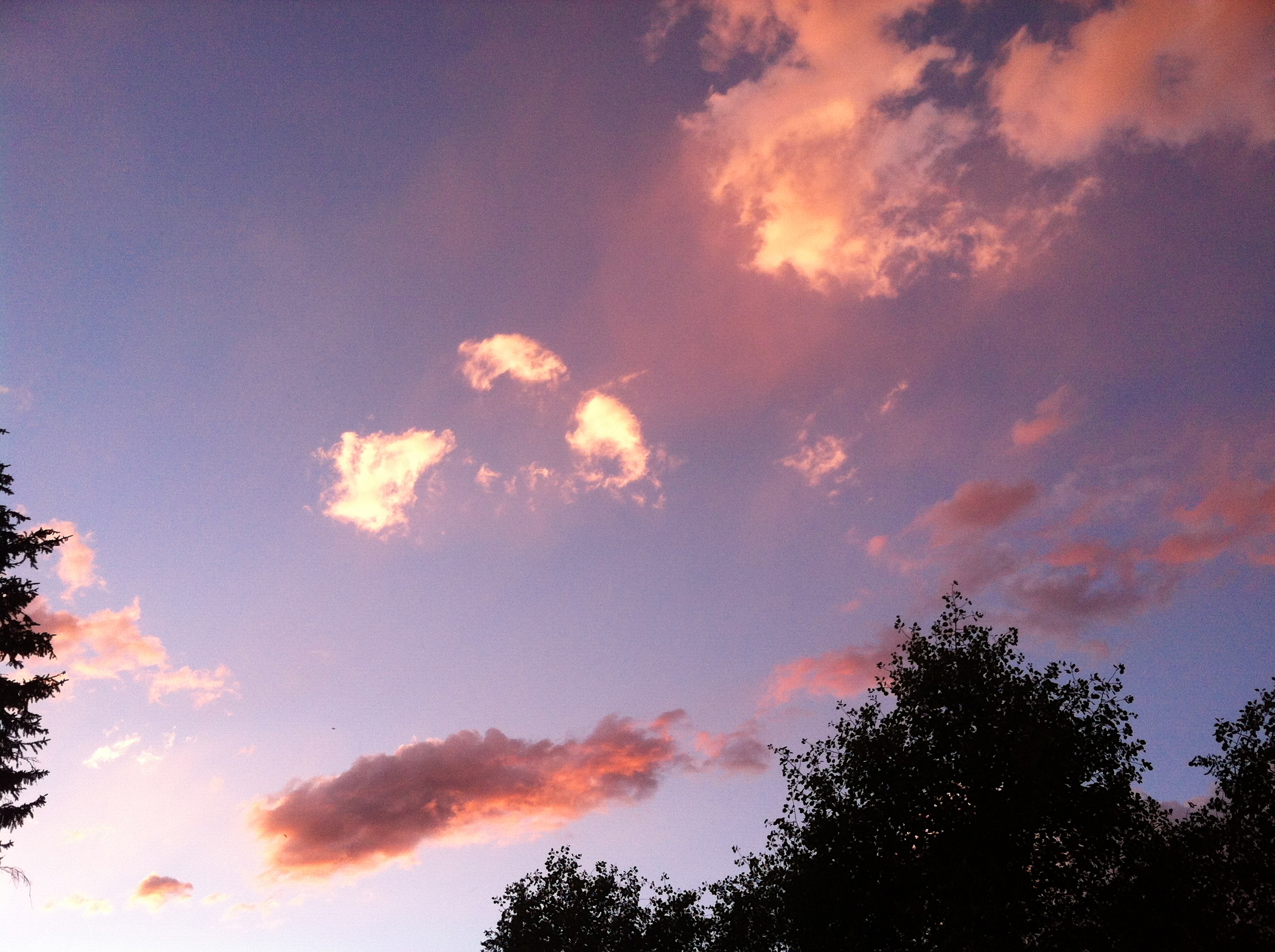 Pretty sky this summer