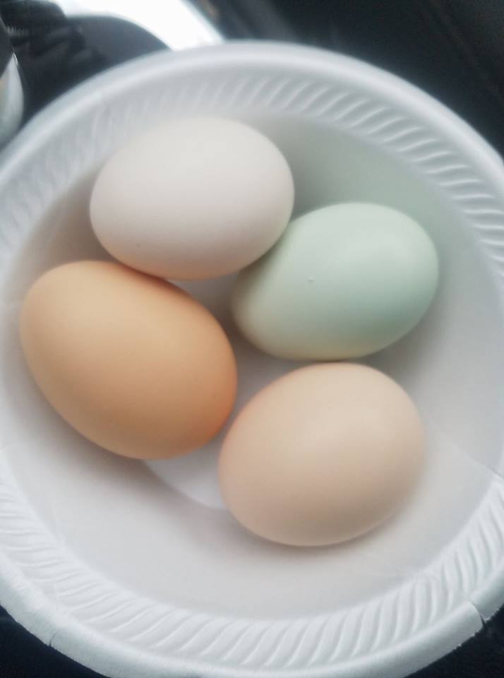 Prettyeggs