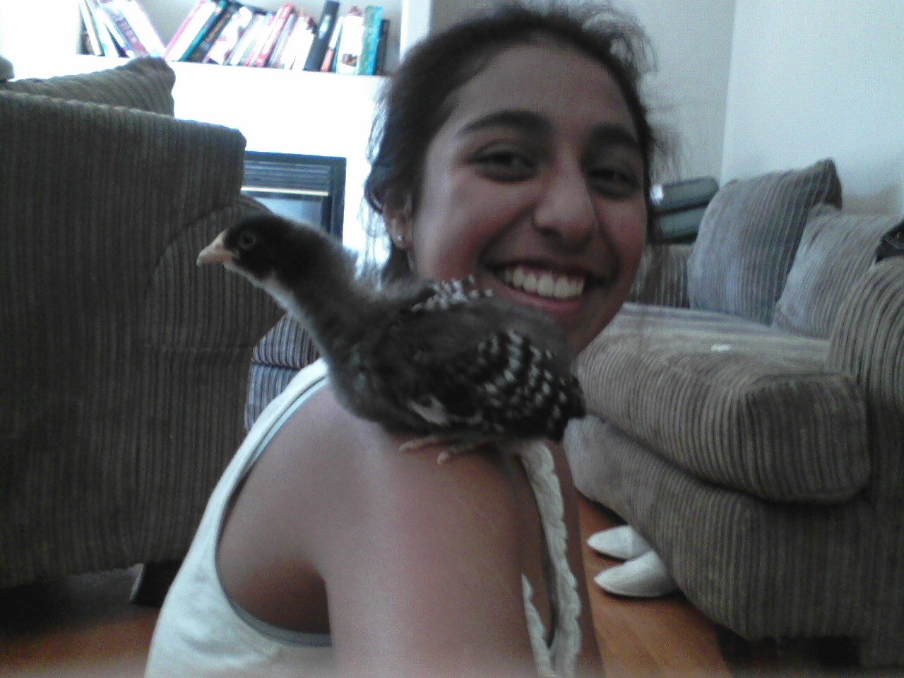 Primrose perched up on Dominique Darling.