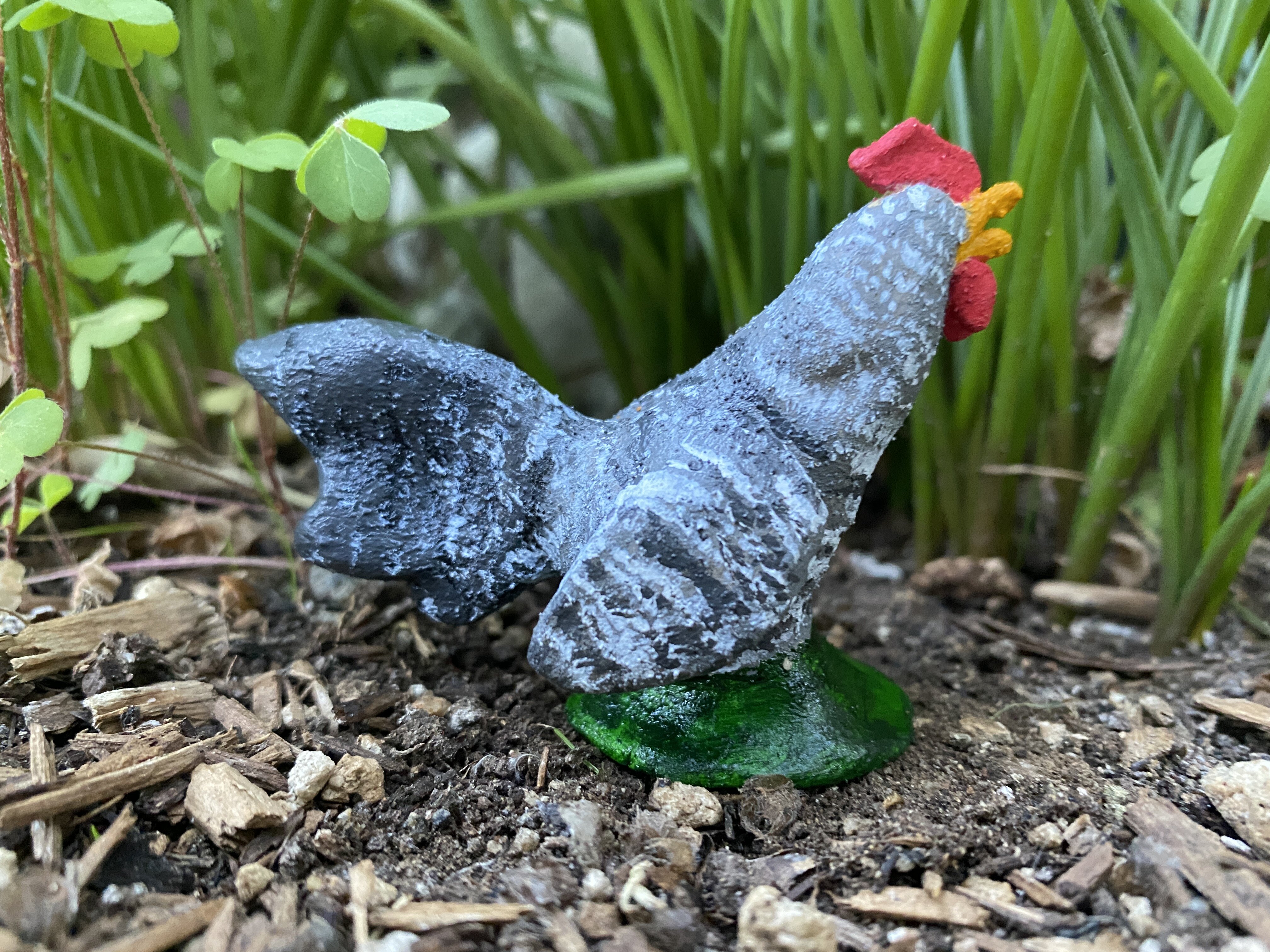 Prince, a black star rooster.