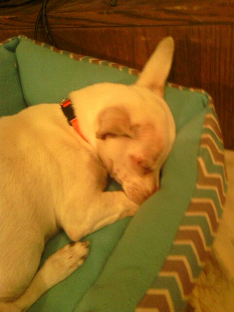 Princess, spoiled rotten :) hehe