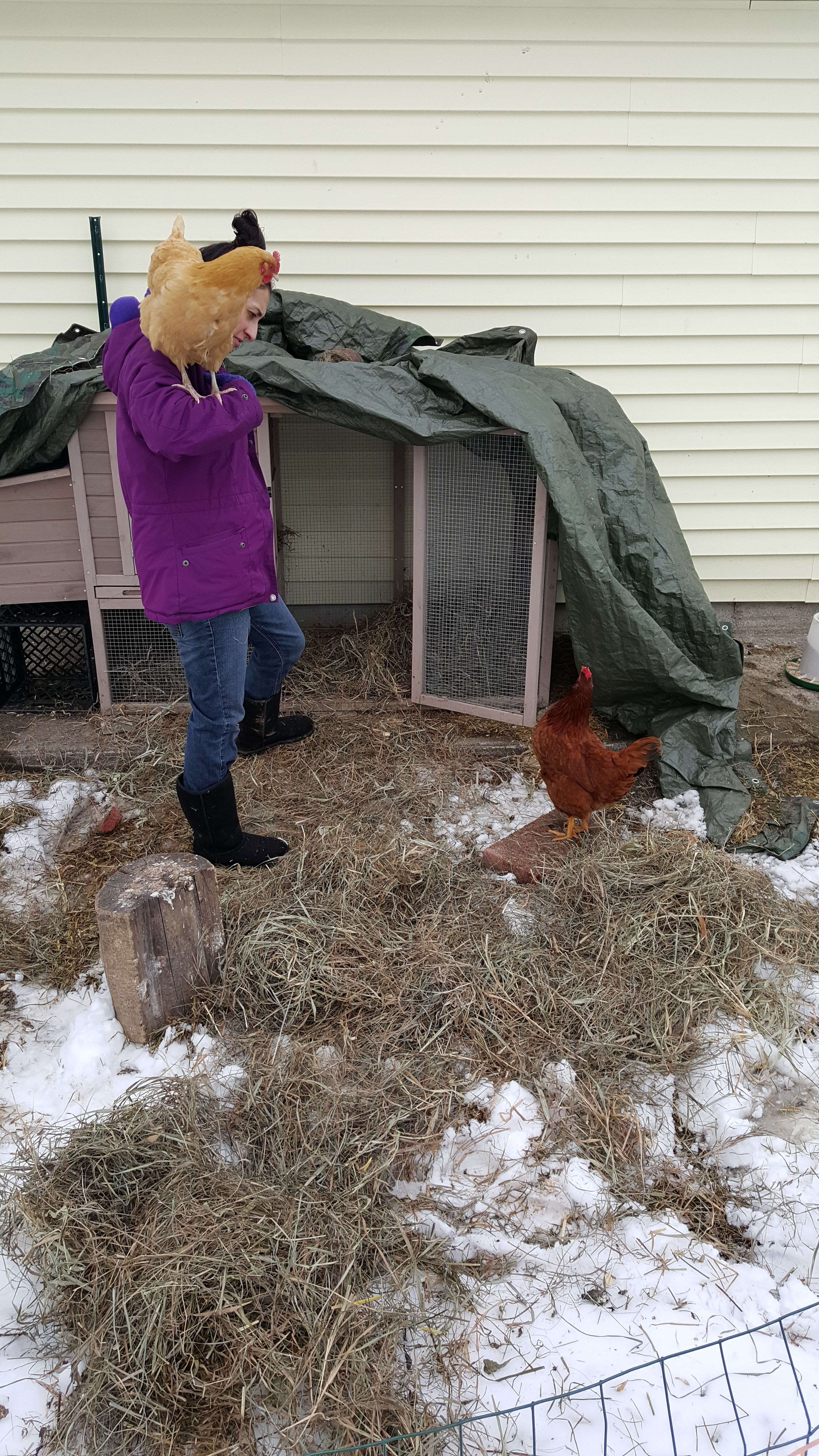 Prior to the attack. hahaha