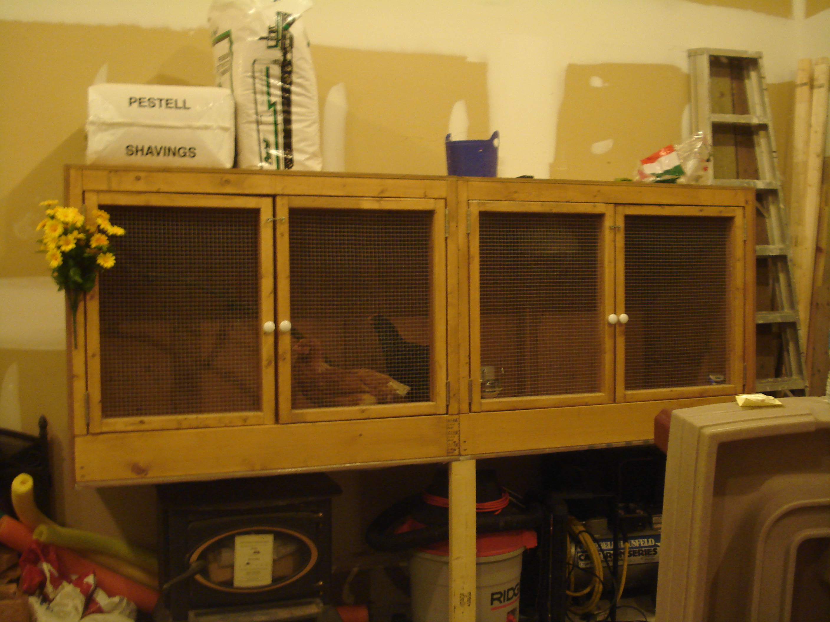 Prissy and Speckles's comfortable home sweet home!