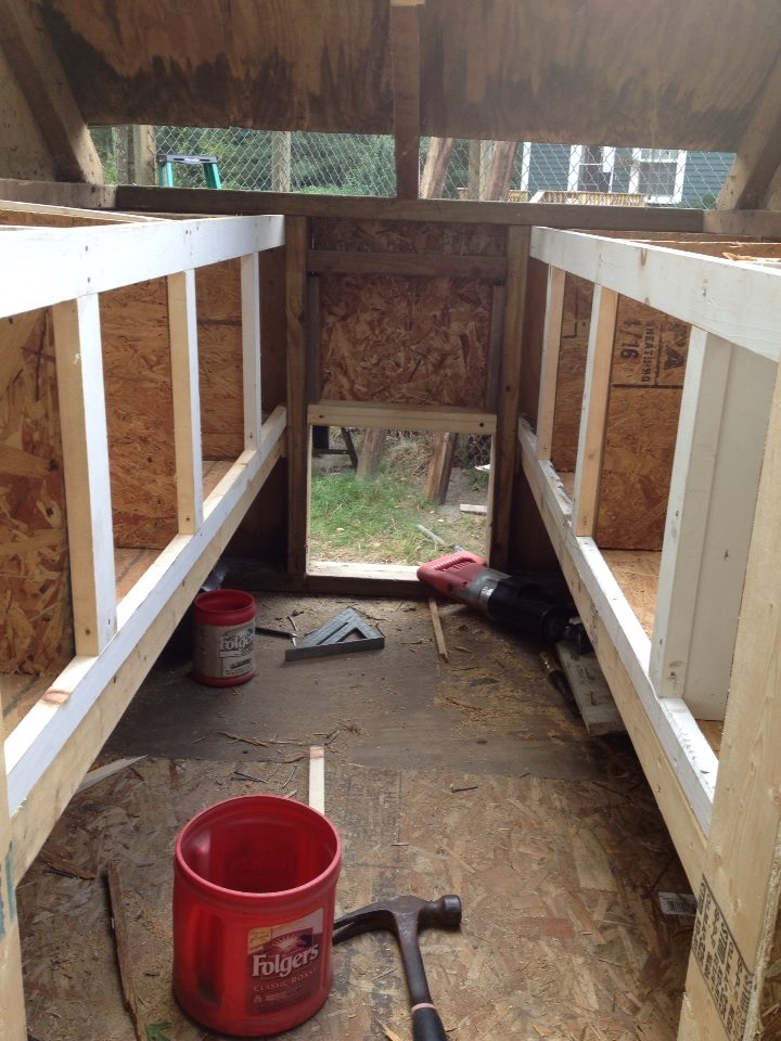 Process of building the coop