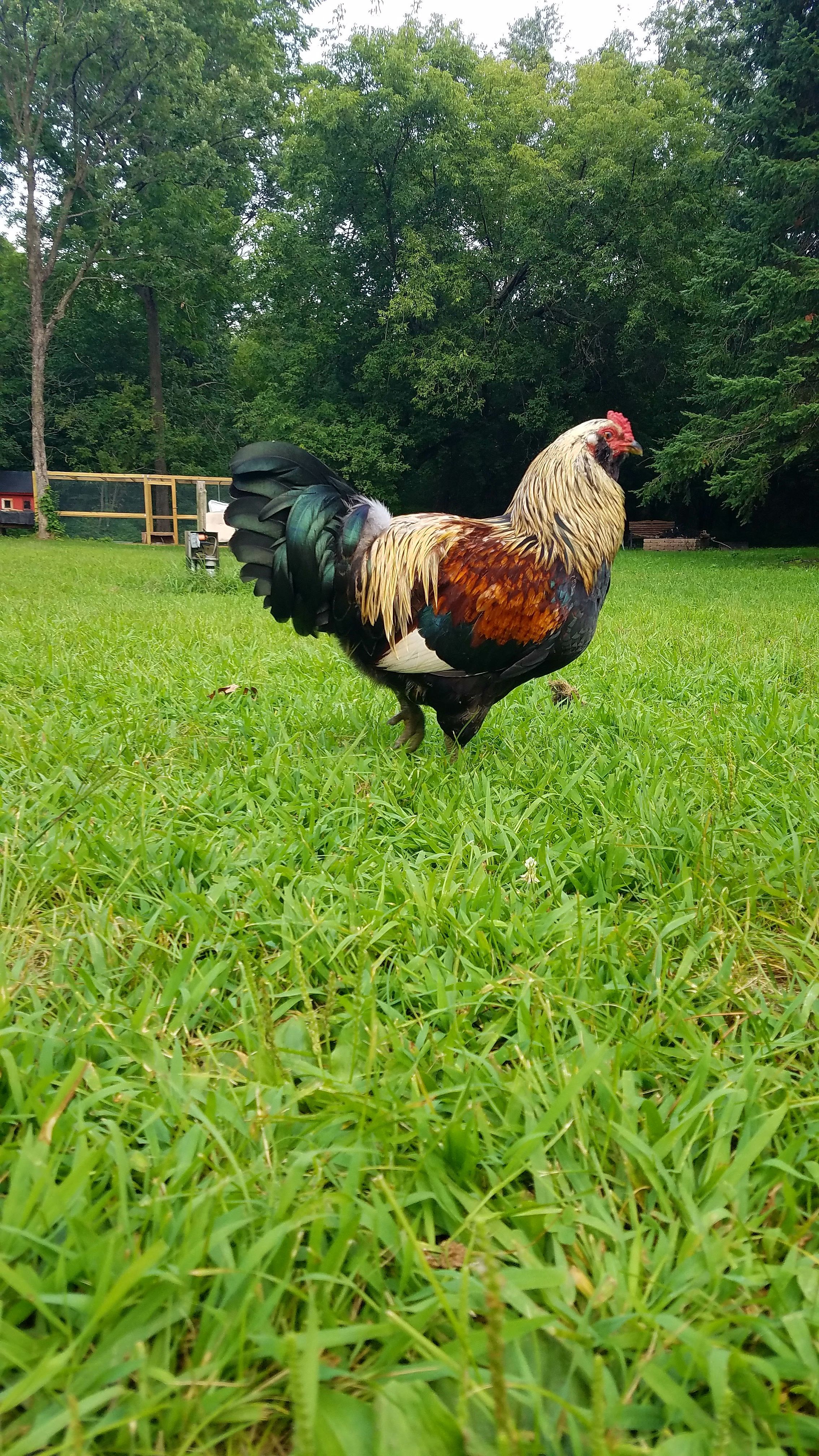 processed by AtomJPEG  1.5.0n